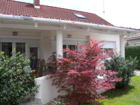 Apartments in Balatonfenyves/Balaton 18466, Balatonfenyves